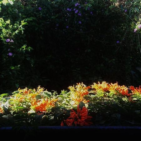 Dalat Inn Homestay Esterno foto