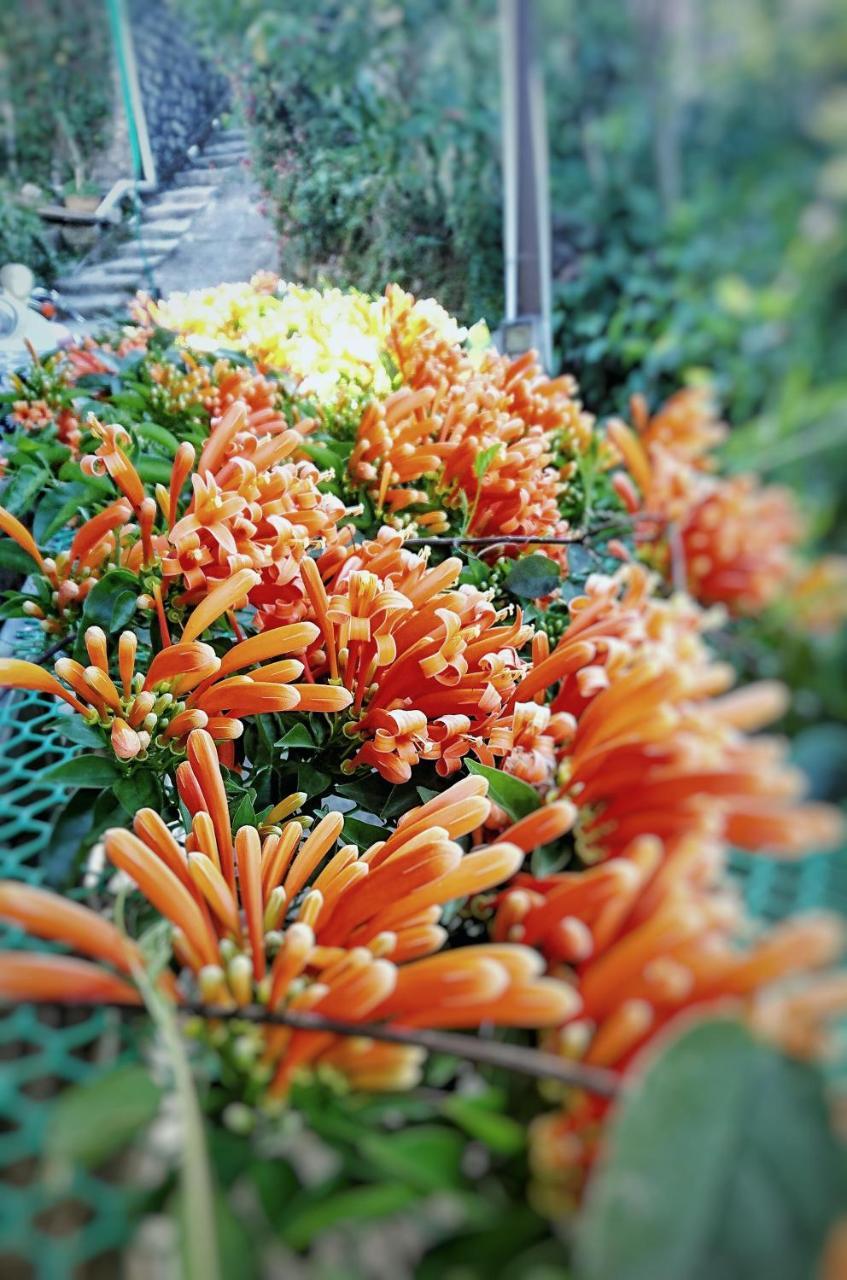 Dalat Inn Homestay Esterno foto