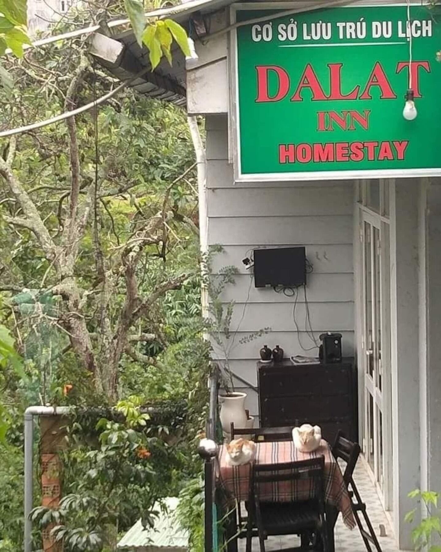 Dalat Inn Homestay Esterno foto